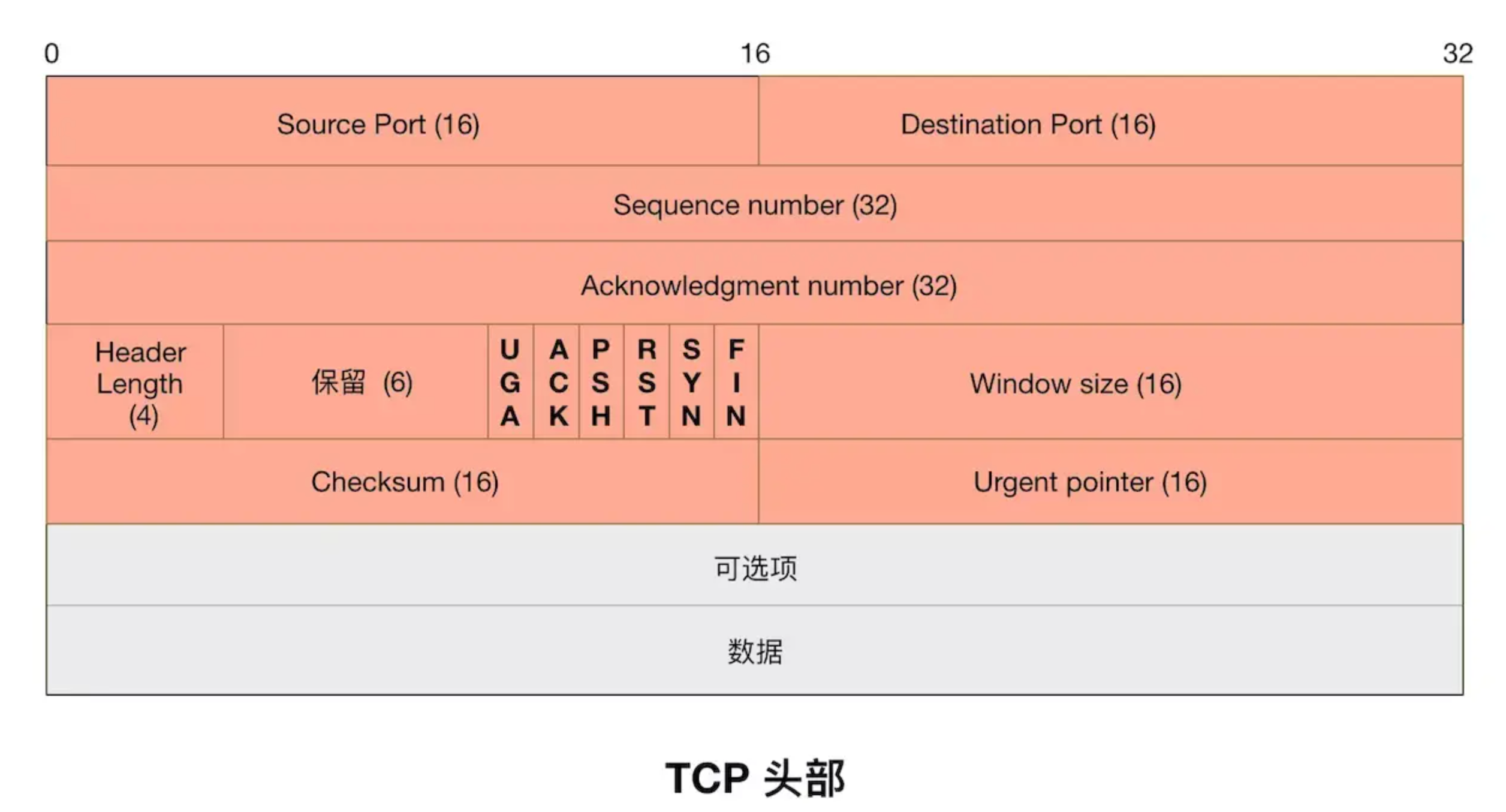 tcp 报文