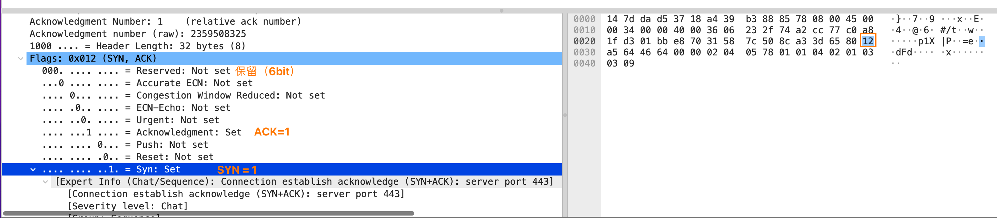 TCP SYN-ACK 数据包